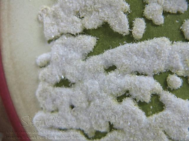 Snowy Pine Tree Closeup