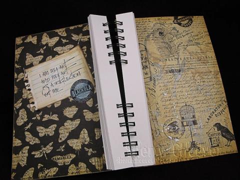 SpiralJournalINSIDE